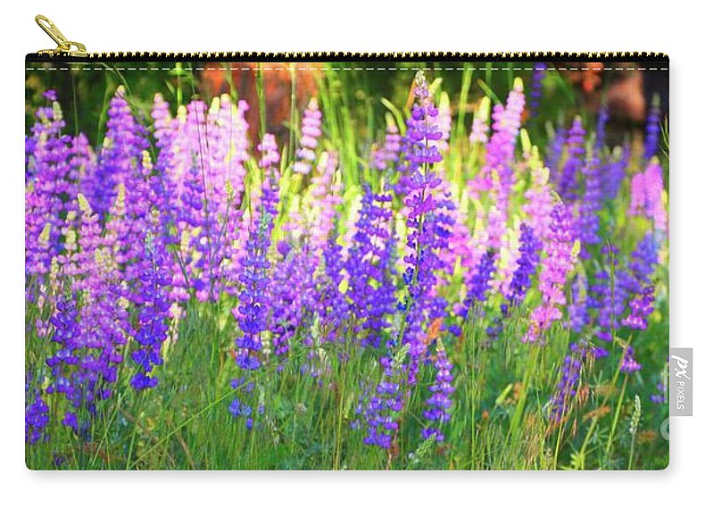 Wildflowers Zip Pouch featuring the photograph Mountain Lupines Wide by Gus McCrea