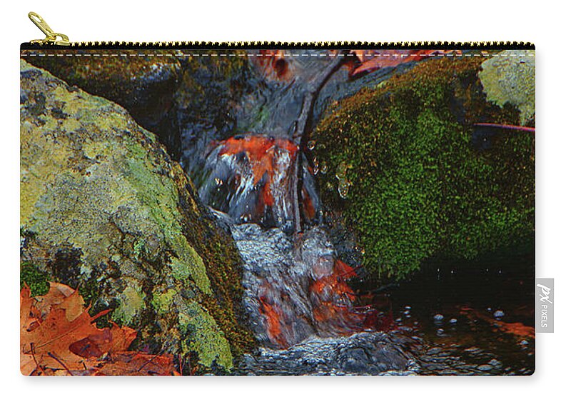Mountain Spring On The At Zip Pouch featuring the photograph Mountain Spring on the AT by Raymond Salani III