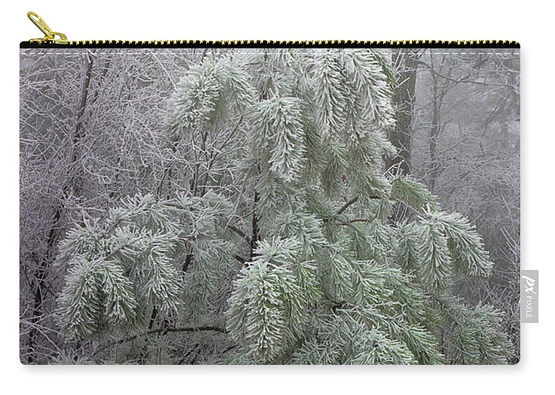 Pine Tree Zip Pouch featuring the photograph Mountain Top Frost by Mike Eingle