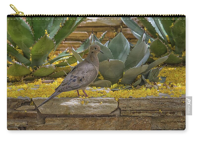 Mourning Zip Pouch featuring the photograph Mourning Dove 5875-041118-1 by Tam Ryan