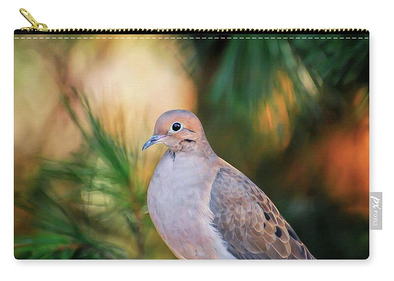 Dove Zip Pouch featuring the photograph Mourning Dove Bathed in Autumn Light by Kerri Farley of New River Nature