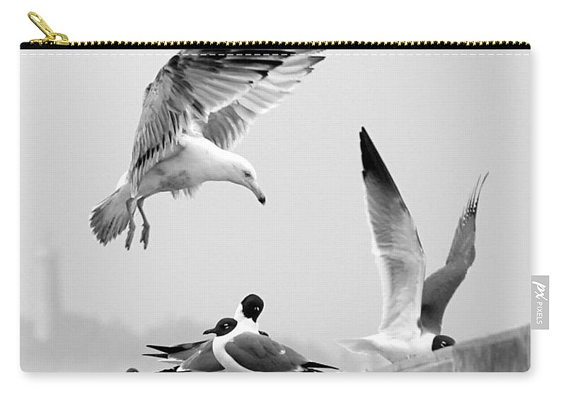 Birds Zip Pouch featuring the photograph Move It or Lose It Buster by Lori Lafargue