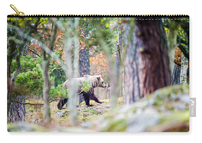 Moving Bear Zip Pouch featuring the photograph Moving Bear by Torbjorn Swenelius
