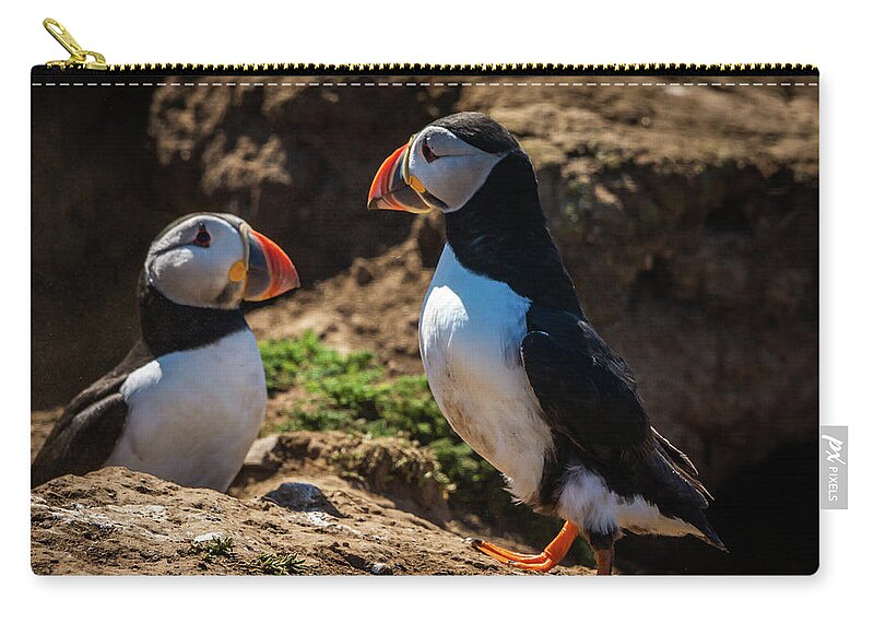 Skomer Island Zip Pouch featuring the photograph Mr and Mrs Puffin by Framing Places