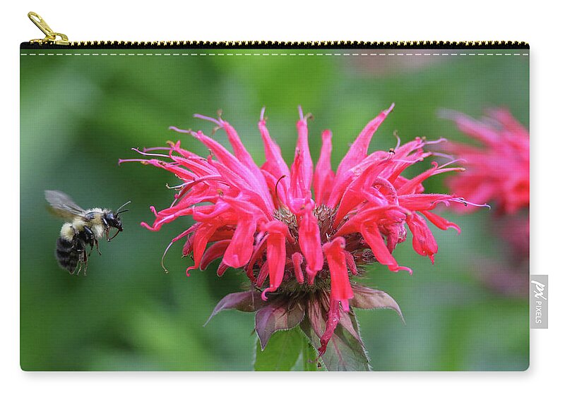 Bumble Bee Zip Pouch featuring the photograph Mr. Brumble and Bee Balm by Brook Burling