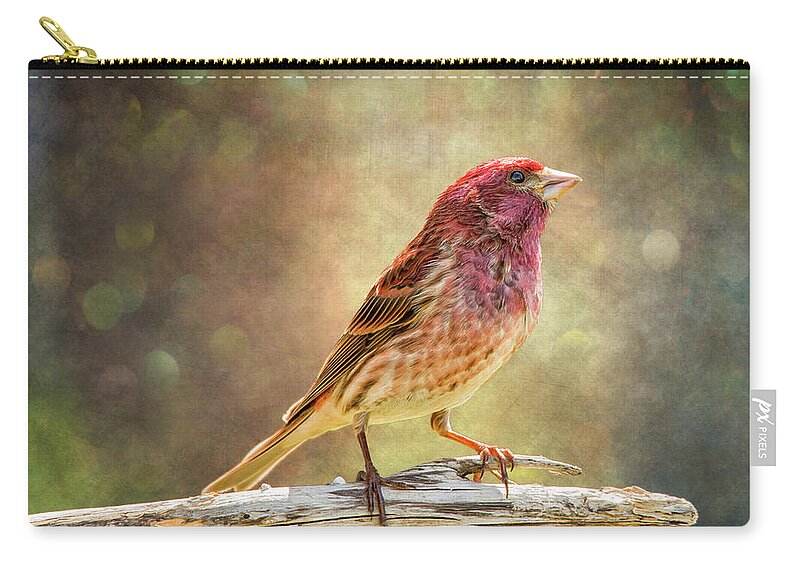 Chordata Zip Pouch featuring the photograph Mr Finch Afternoon Bokeh by Bill and Linda Tiepelman