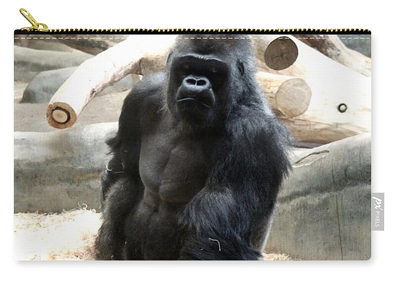 Zoo Zip Pouch featuring the photograph Mr. Handsome by Jean Wolfrum