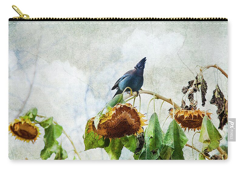 Bird Zip Pouch featuring the photograph Mr Jay And The Sunflowers by Theresa Tahara