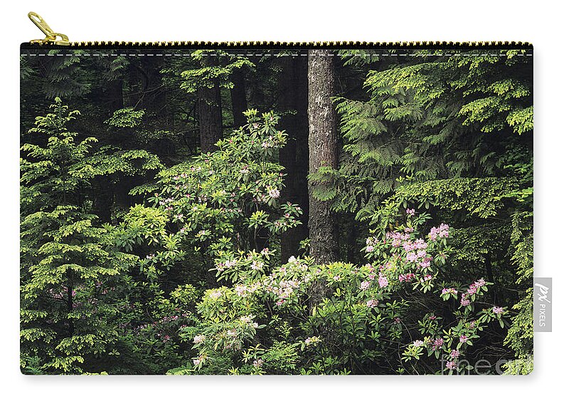 Beautiful Zip Pouch featuring the photograph Mt. Hood National Forest by Greg Vaughn - Printscapes