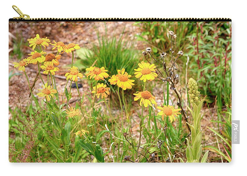 Mount Lemmon Zip Pouch featuring the photograph Mt Lemmon Marigolds by Chris Smith