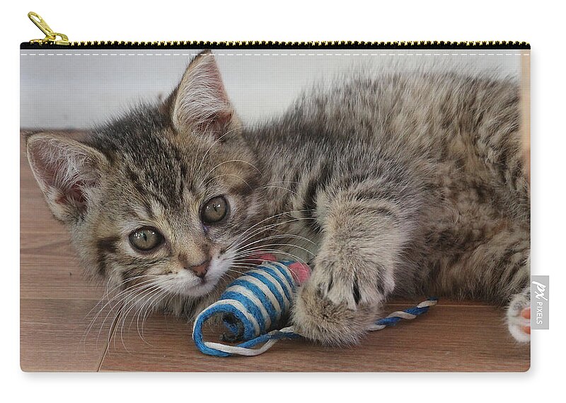 Cat Zip Pouch featuring the photograph Muffin by Doris Potter