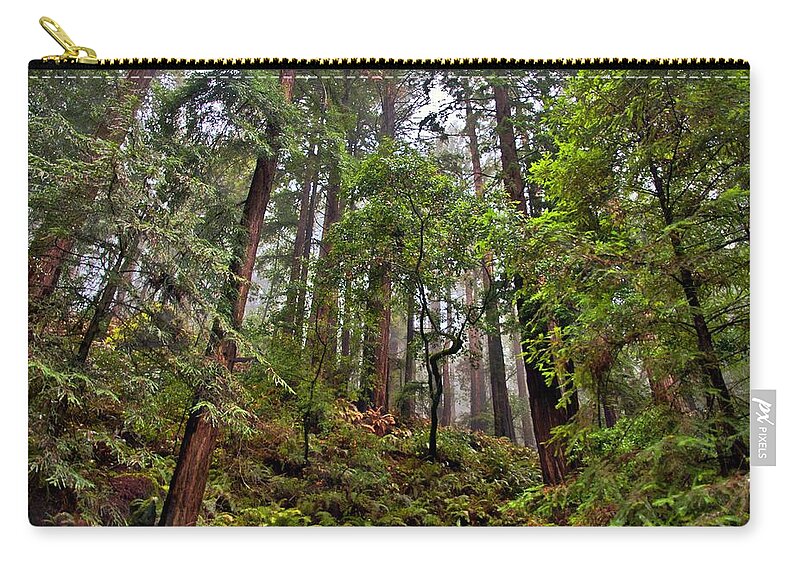 Photography By Suzanne Stout Zip Pouch featuring the photograph Muir Woods National Monument by Suzanne Stout