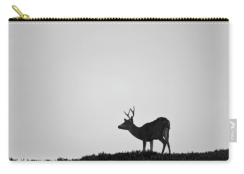 Mule Zip Pouch featuring the photograph Mule Deer I BW SQ by David Gordon