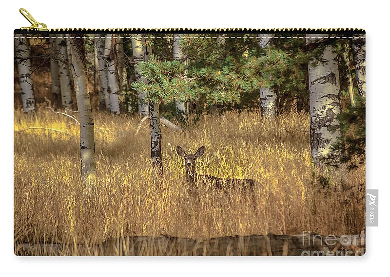 Animal Nature Zip Pouch featuring the photograph Mule Deer In The Aspens by Robert Bales