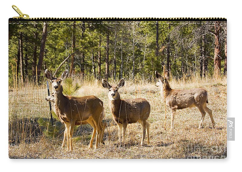Deer Zip Pouch featuring the photograph Mule Deer in the Back Yard by Steven Krull