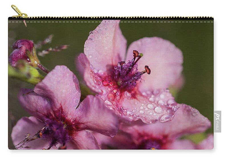 Astoria Zip Pouch featuring the photograph Mullein in the Mist by Robert Potts