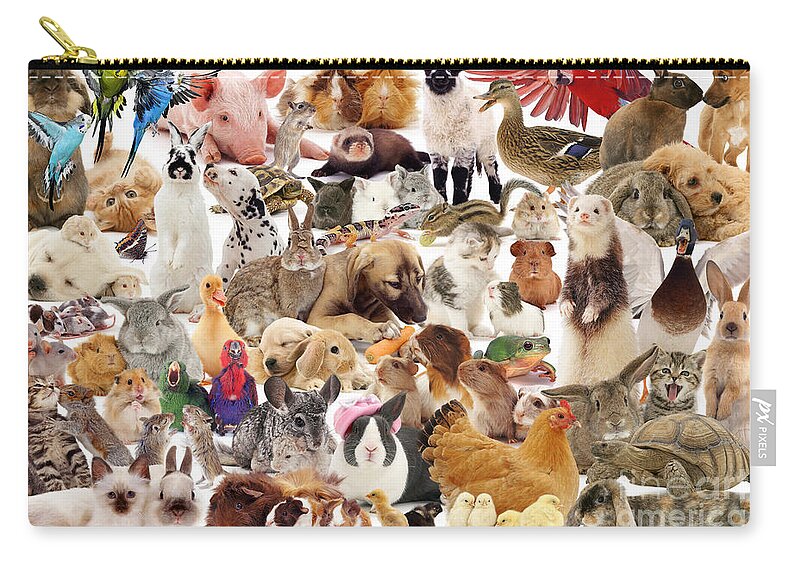Pets Zip Pouch featuring the photograph Multiple Pets Montage by Warren Photographic