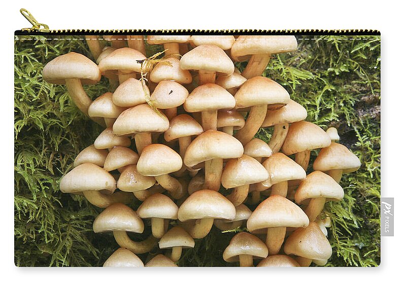 Mushrooms Zip Pouch featuring the photograph Mushroom Condo by Albert Seger