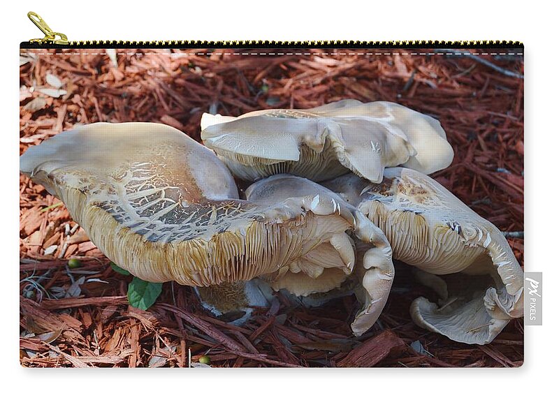 Mushroom Evolution Zip Pouch featuring the photograph Mushroom Evolution by Warren Thompson