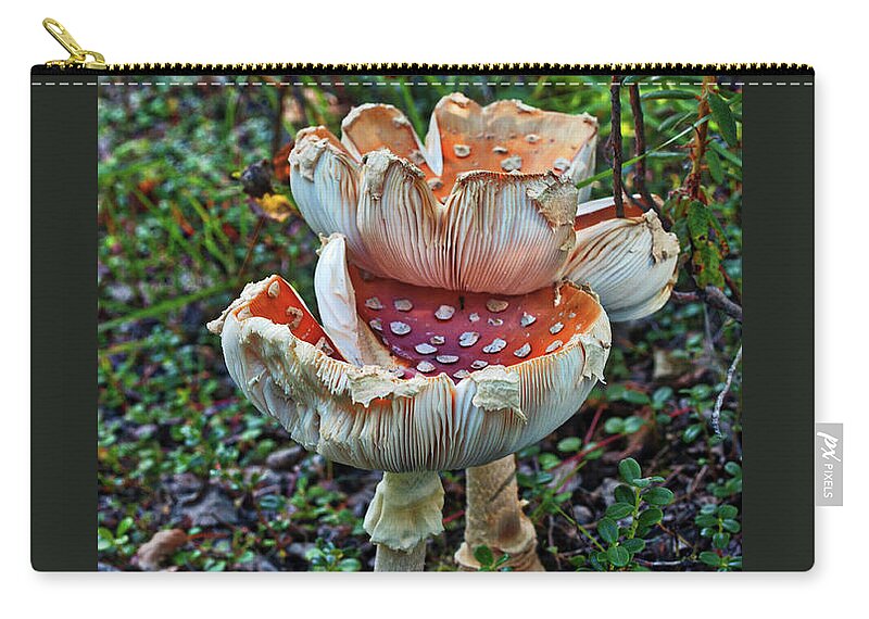 Mushroom Zip Pouch featuring the photograph Mushroom Gills by Cathy Mahnke