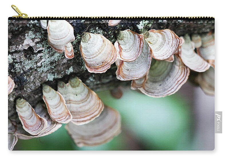 Tree Zip Pouch featuring the photograph Mushroom Madness by Mary Anne Delgado