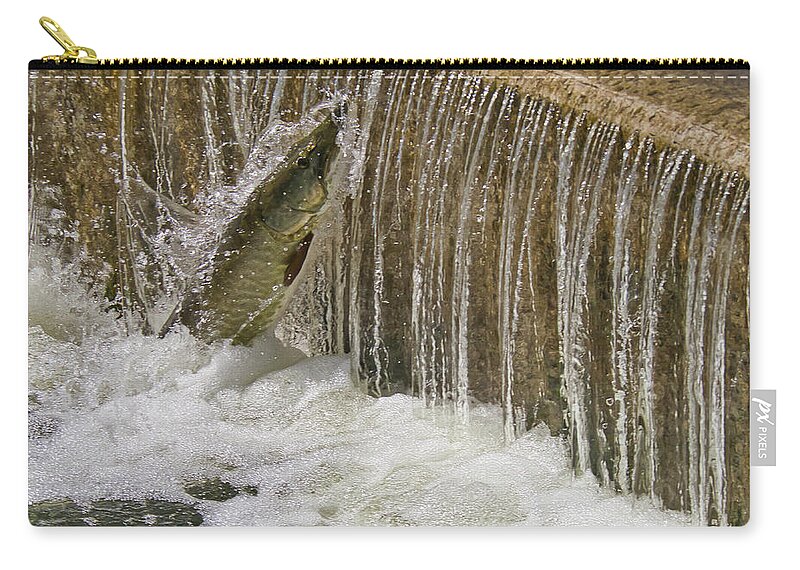 Muskie Zip Pouch featuring the photograph Muskie 2 - Lake Wingra - Madison - Wisconsin by Steven Ralser