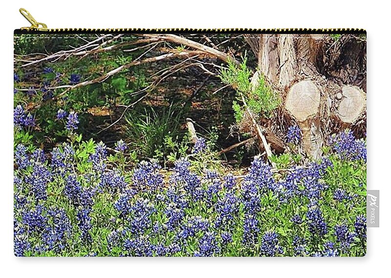 Beautiful Zip Pouch featuring the photograph Must Be #springtime In by Austin Tuxedo Cat