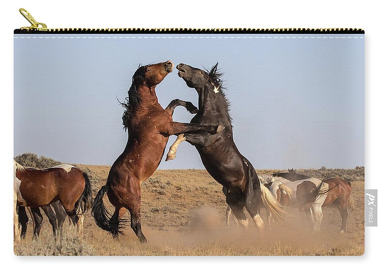 Mustangs Zip Pouch featuring the photograph Mustang Stallions by Jack Bell