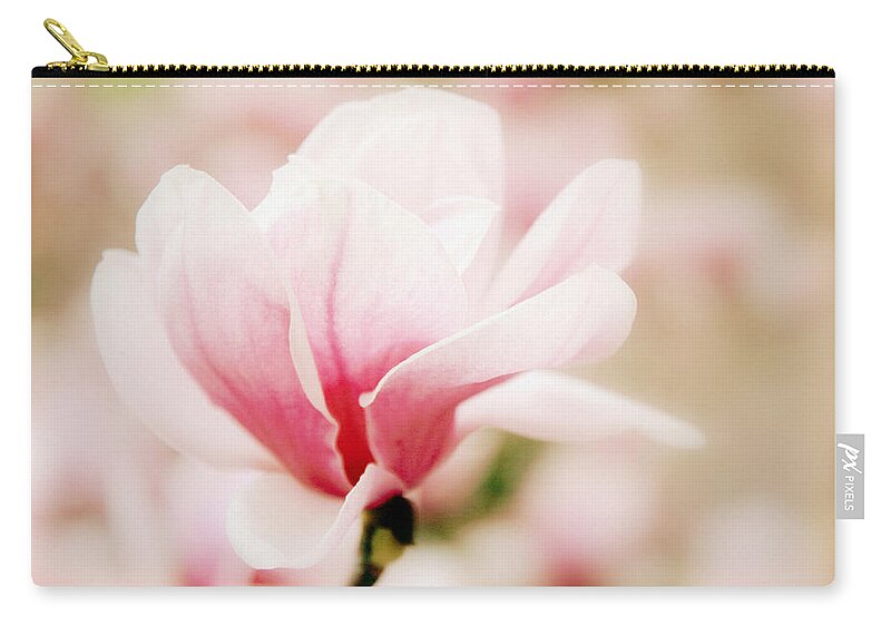 Magnolia Zip Pouch featuring the photograph Muted Magnolia by Jessica Jenney