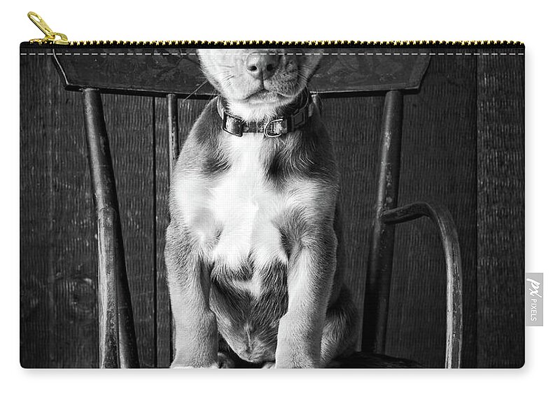 Mutt Black And White Zip Pouch featuring the photograph Mutt Black and White by Edward Fielding