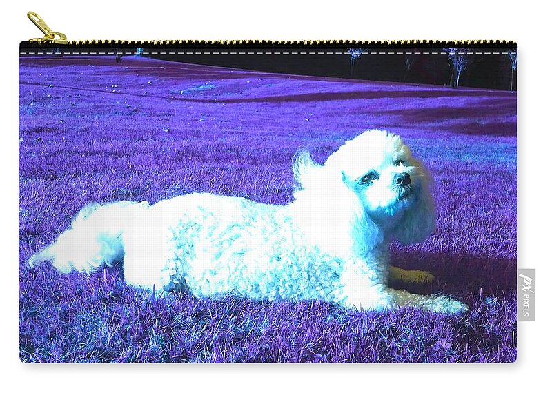 Fantasy Zip Pouch featuring the photograph My Best Side In Cosmic Blue Splash by Rowena Tutty