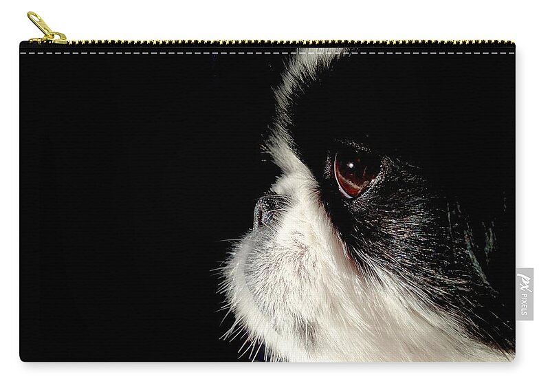 Dogs Zip Pouch featuring the photograph My Daisy by Eileen Brymer