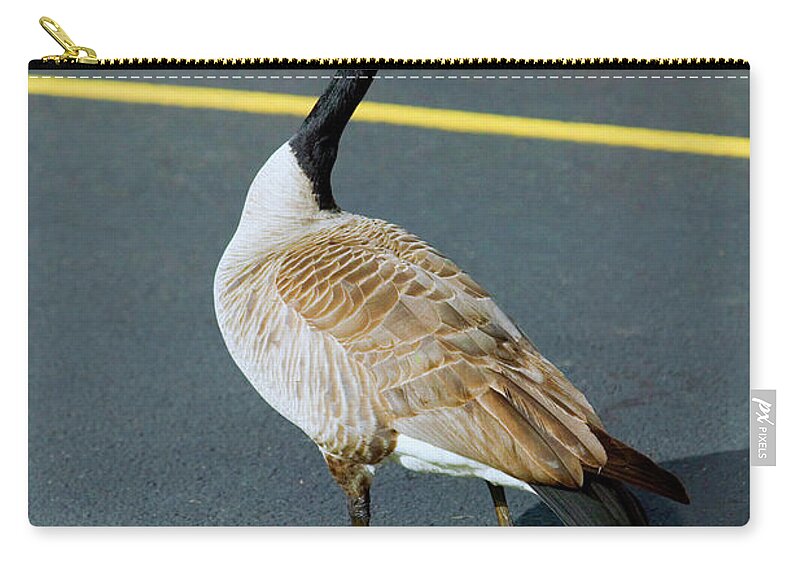 Canada Goose Zip Pouch featuring the photograph My Space... by Randall Ingalls