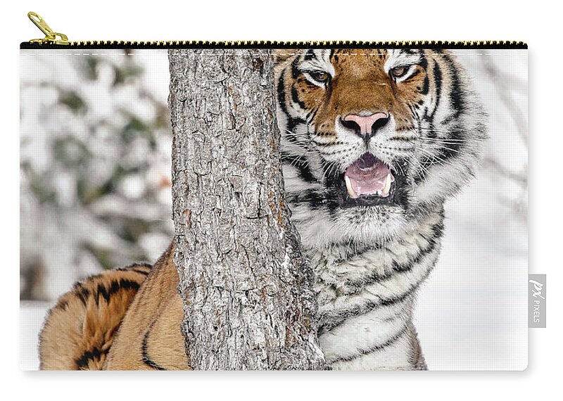 Tiger Zip Pouch featuring the photograph MY Tree by Athena Mckinzie