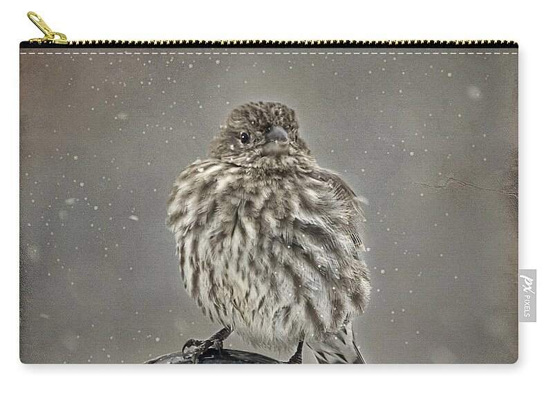 Wildlife Zip Pouch featuring the photograph My Winter Sparrow by Janice Pariza
