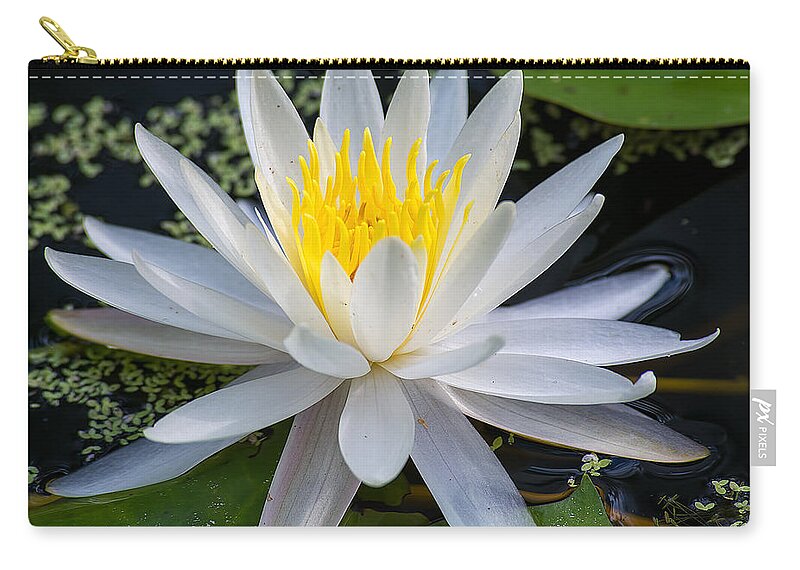 Nature Zip Pouch featuring the photograph Mystical Lotus by Kenneth Albin