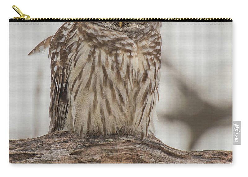 Nature Zip Pouch featuring the photograph Mystical Moment by Jody Partin