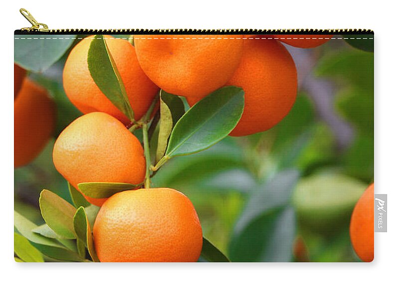 Mandarin Orange Zip Pouch featuring the photograph Naranjita by Iryna Goodall
