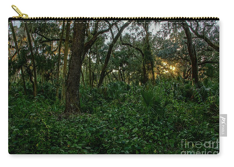 Vine Zip Pouch featuring the photograph Natural Florida Wilderness by Brian Kamprath