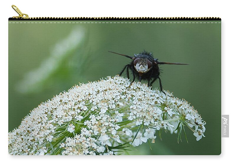 Plant Carry-all Pouch featuring the photograph Nature Up Close by Holden The Moment