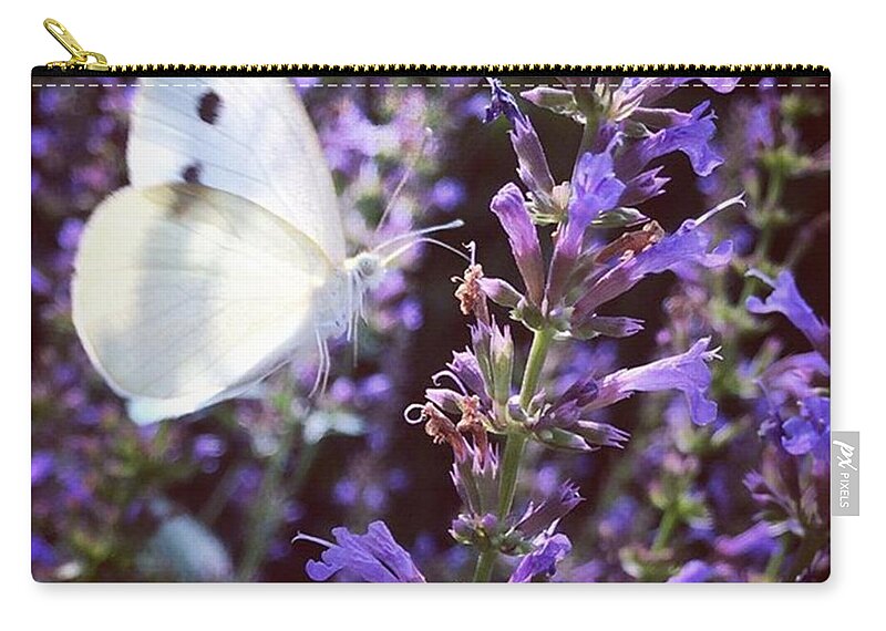 Landingzone Zip Pouch featuring the photograph #natureiswaiting #gooutside by Katie Cupcakes