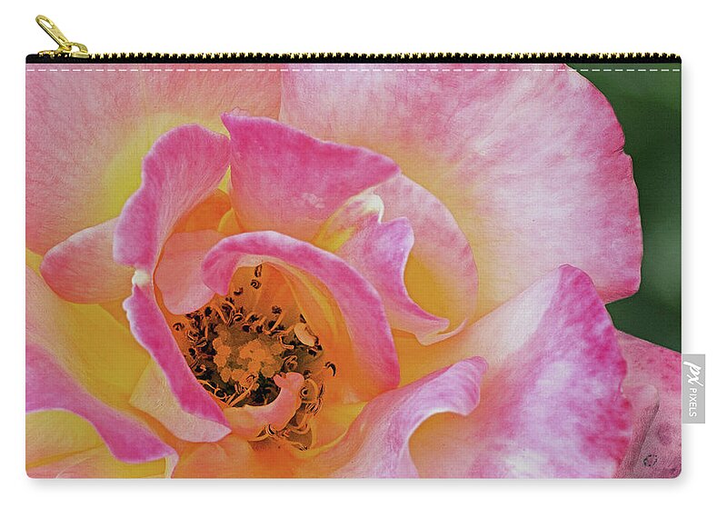Flower Zip Pouch featuring the photograph Nature's Beauty by Ed Clark