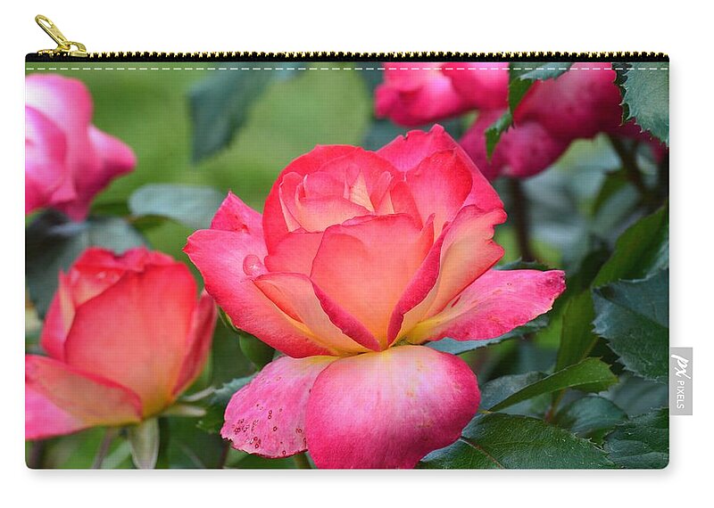 Nature's Beauty Zip Pouch featuring the photograph Nature's Beauty by Maria Urso