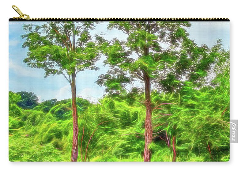 Landmark Zip Pouch featuring the photograph Nature's electricity by Robert FERD Frank