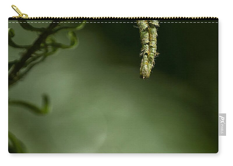 Fern Zip Pouch featuring the photograph Nature's Helper by Belinda Greb