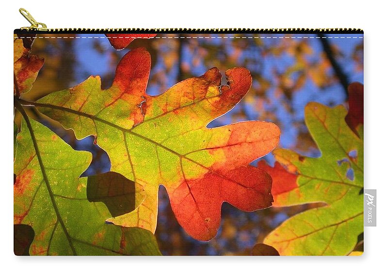 Autumn Zip Pouch featuring the photograph Nature's Kaleidoscope by Living Color Photography Lorraine Lynch