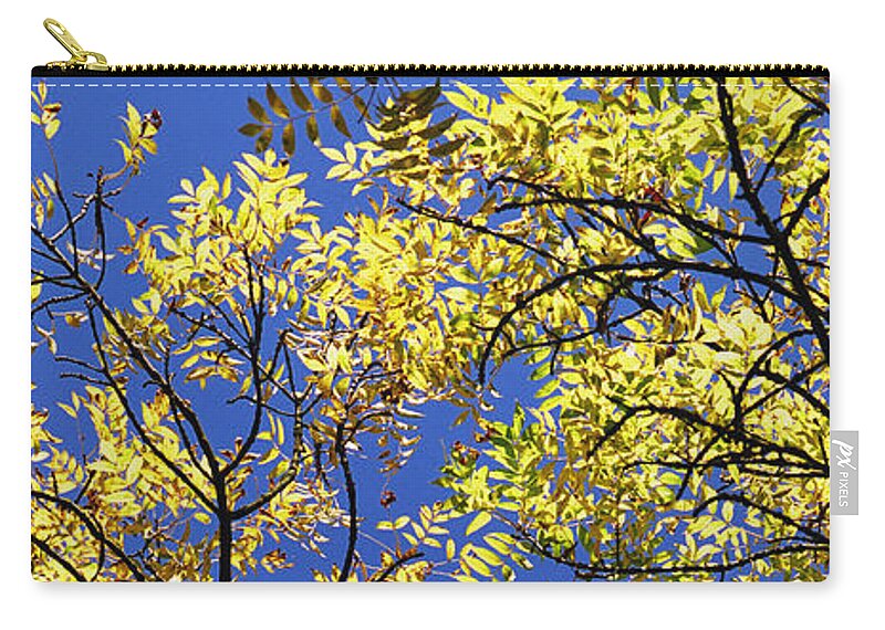 Inspiring Zip Pouch featuring the photograph Natures Magic - Original by Rebecca Harman