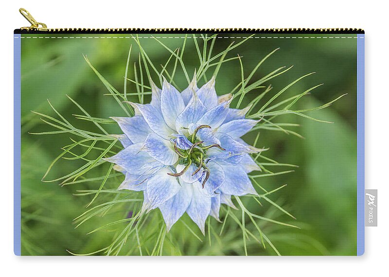 Natures Star Zip Pouch featuring the photograph Natures Star by Wendy Wilton