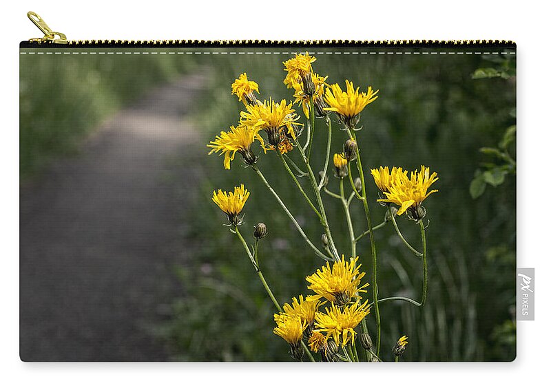 Miguel Zip Pouch featuring the photograph Nature's Traffic by Miguel Winterpacht