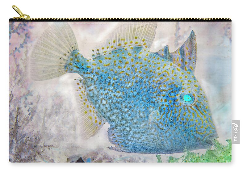 Florida Zip Pouch featuring the photograph Nautical Beach and Fish #2 by Debra and Dave Vanderlaan